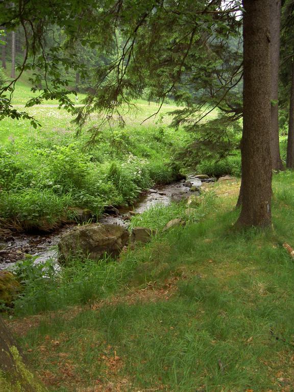 Gasthof 'Zum Reifberg' Ilmenau Bagian luar foto